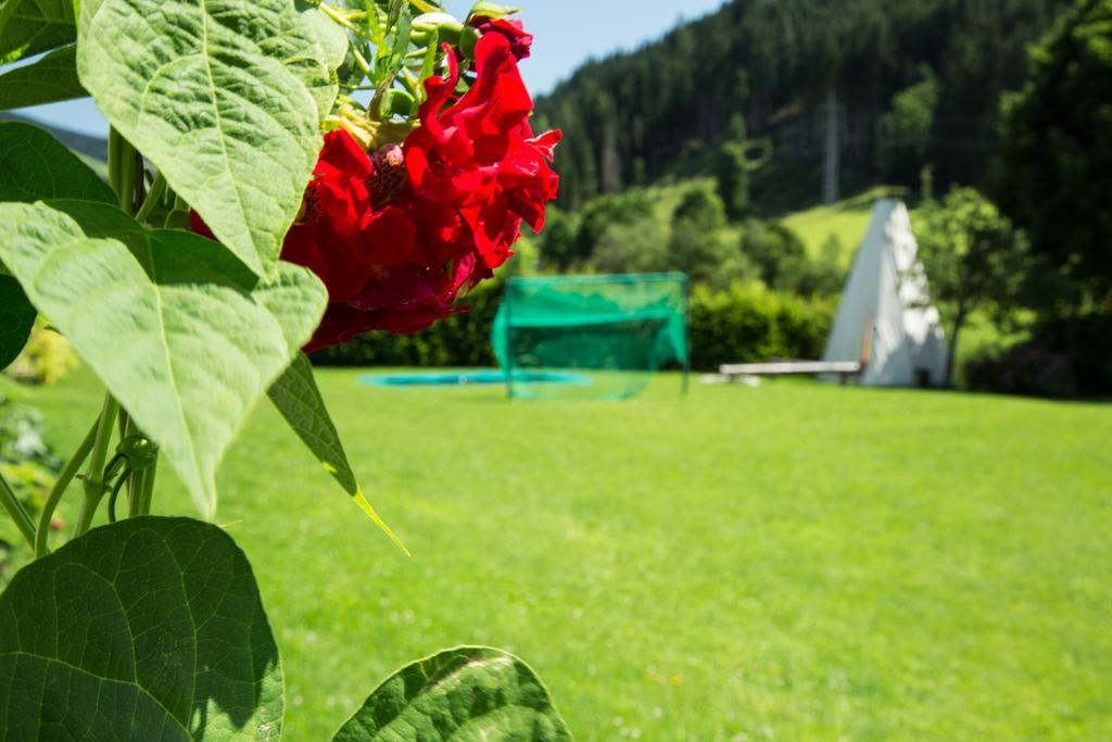 Aparthotel Steger Wagrain Zewnętrze zdjęcie